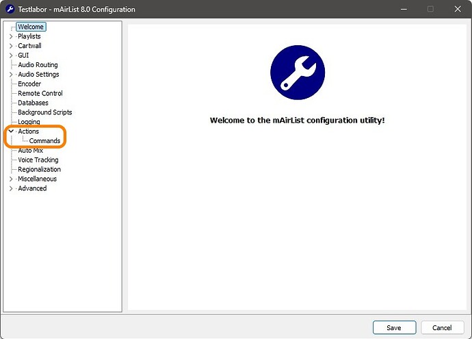 v8.0 (en) Config Action Commands